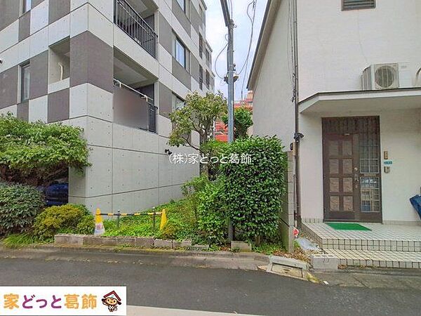 撮影日(2026-07-13 00:00:00)