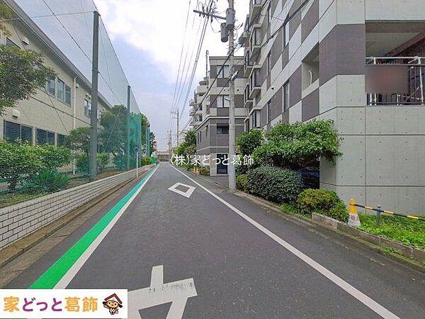 撮影日(2026-07-13 00:00:00)