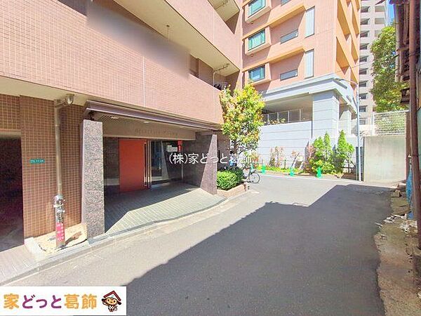 撮影日(2025-04-09 00:00:00)