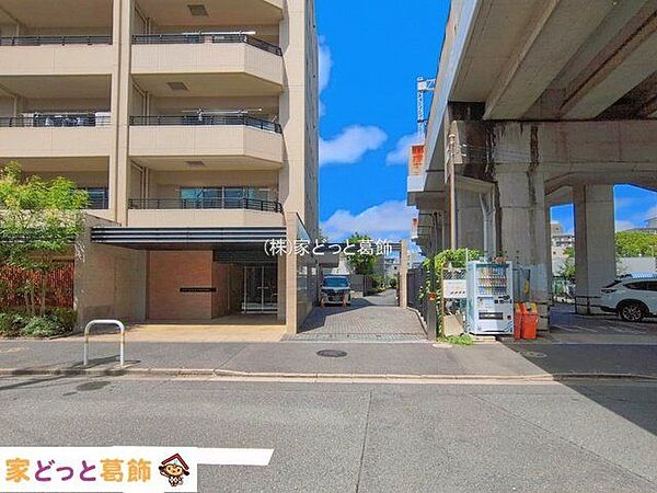 撮影日(2026-08-06 00:00:00)