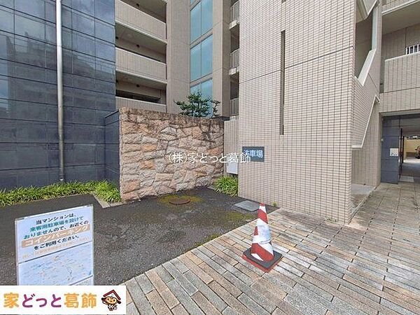 撮影日(2026-08-06 00:00:00)
