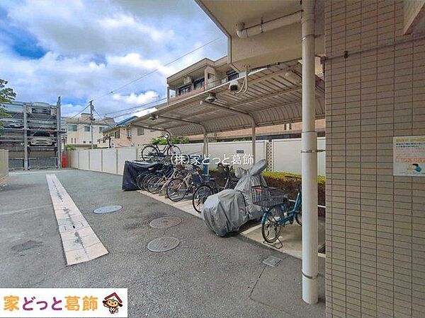 撮影日(2026-08-06 00:00:00)