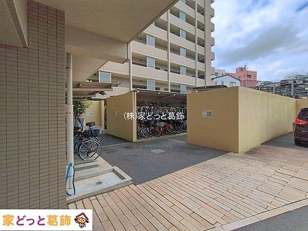撮影日(2026-08-06 00:00:00)