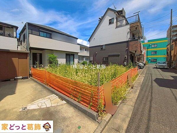 撮影日(2026-08-18 00:00:00)