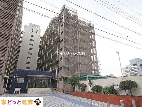 撮影日(2022-11-29 00:00:00)