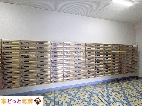 撮影日(2024-11-14 00:00:00)