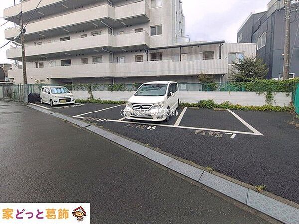 撮影日(2026-08-13 00:00:00)