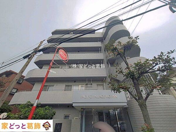 撮影日(2026-08-13 00:00:00)
