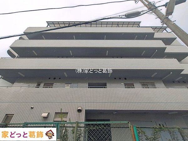 撮影日(2026-08-13 00:00:00)