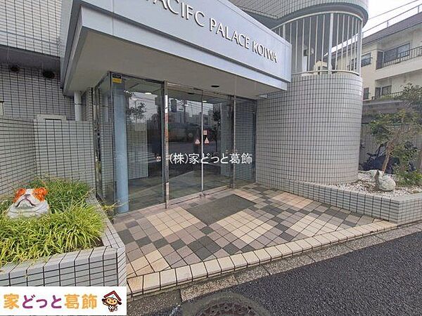 撮影日(2026-08-13 00:00:00)