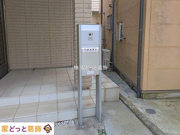 撮影日(2026-08-20 00:00:00)