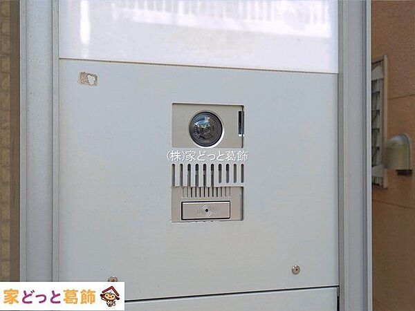 撮影日(2026-08-20 00:00:00)