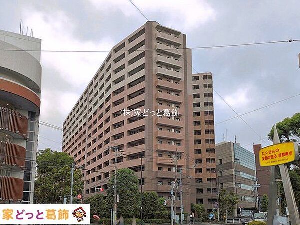 外観：313004890273