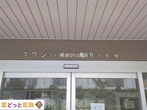撮影日(2026-06-05 00:00:00)
