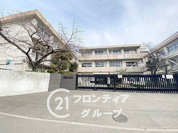 西宮市立浜甲子園中学校 徒歩4分。 320m