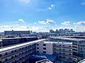念願のマイホー...