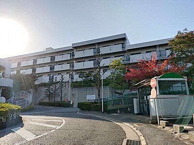 外観:RC造、8階建てのマンションです。 外観:RC造、8階建てのマンションです。