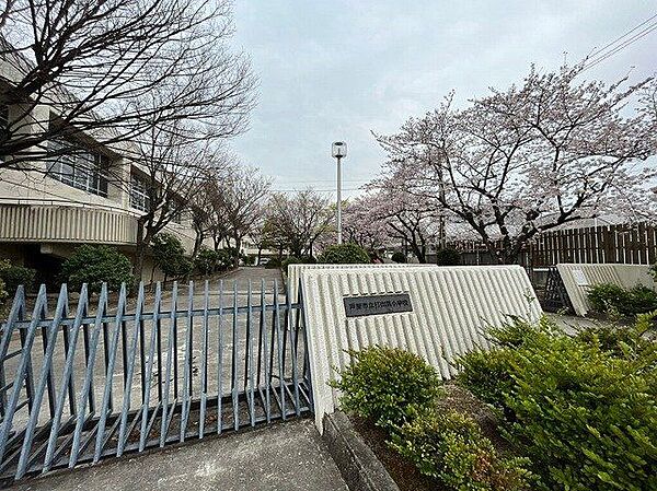 芦屋市立打出浜小学校 徒歩5分。 380m