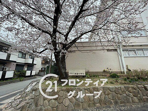 芦屋市立精道中学校 徒歩4分。 260m
