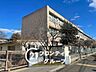 周辺：西宮市立今津中学校 徒歩13分。 970m