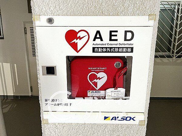 エリアの特性や周辺環境についての情報提供も行っています。物件だけでなく、地域の暮らしやすさも含めてご確認いただけます