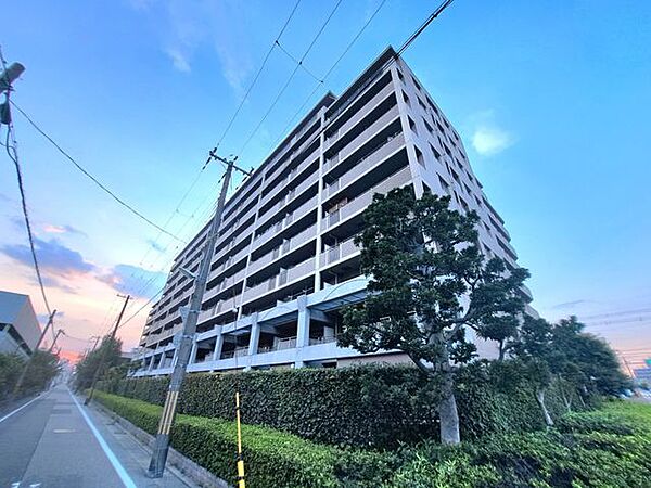 外観：328000688884