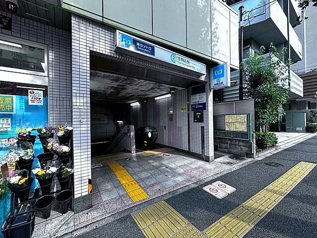 周辺 ハイネス文京本駒込 8階/８階部分