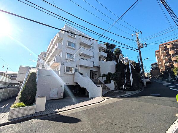 外観：313004446791