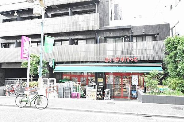 東京都大田区東雪谷3丁目(賃貸マンション1LDK・4階・36.16㎡)の写真 その18