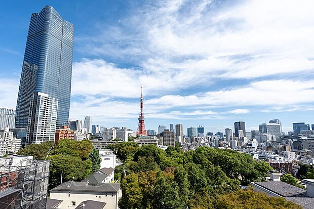 屋上庭園からの景色