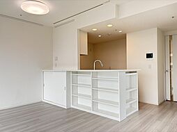 プレミストタワー白金高輪