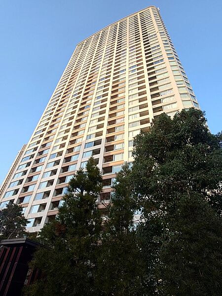 外観：313004690945