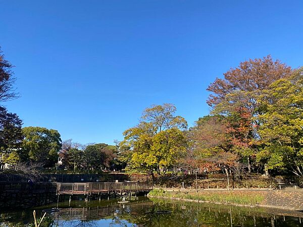 文庫の森