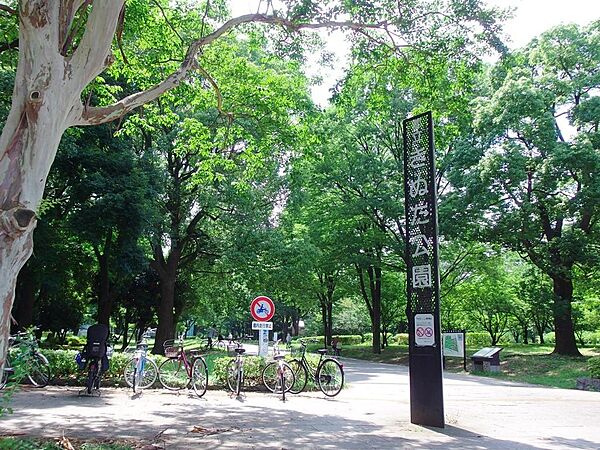 東京都立砧公園（1237m）