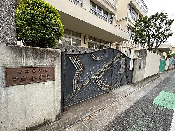 世田谷区立中丸小学校（342m）