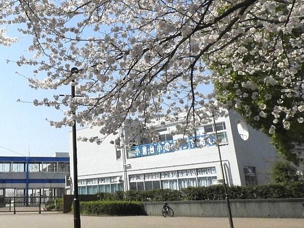 印西市立小倉台小学校（130m）