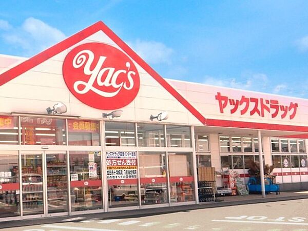 ヤックスドラッグ富里インター店（1700m）
