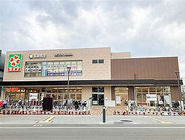 画像25:【スーパー】ライフ　阪神鳴尾店まで273ｍ