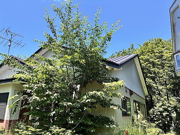 detached 宮城県大崎市鳴子温泉字入沢142-11
地図を見る