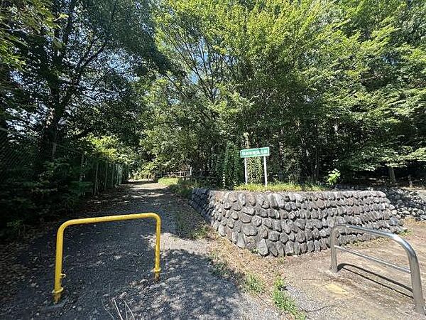 公園 羽加美緑地 50ｍ