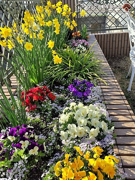 売主様がお住まいされていた時の庭は花壇も造設され、イングリッシュガーデンとしてお手入れされていました