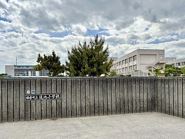 播磨町立蓮池小学校　800m