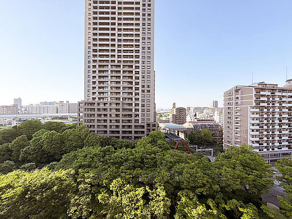【住戸からの眺望】北東側バルコニーからの眺望。豊かな緑が望めます。