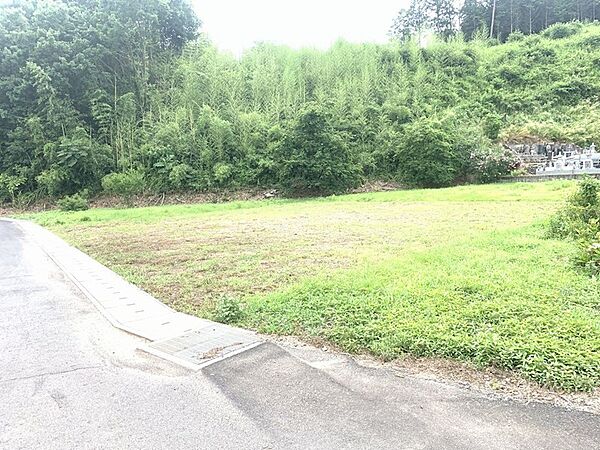 外観：309000078896