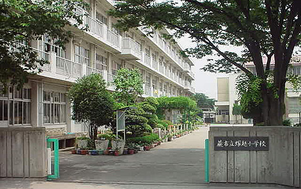 蕨市立塚越小学校（517m）
