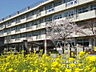周辺：さいたま市立新開小学校（1599m）