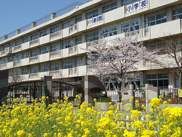 さいたま市立新開小学校（1599m）