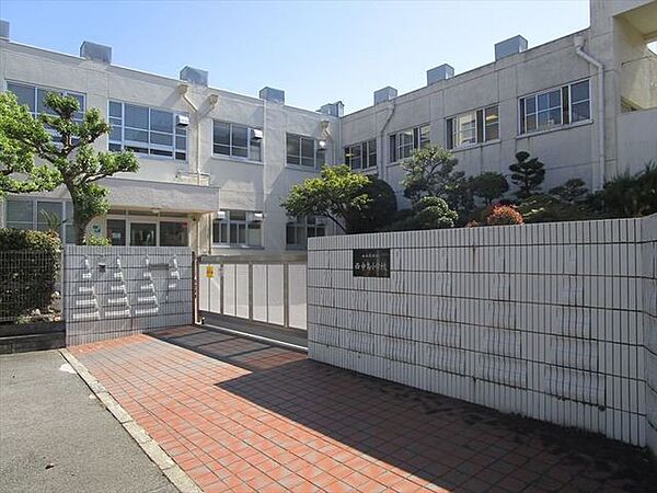 名古屋市立西中島小学校　【校訓】力いっぱい　心豊かに　たくましく【教育目標】豊かな知性と情操をもち，心身ともに健やかな児童の育成 年度ごとに学校教育の努力点にテーマを決め、計画を立てています…