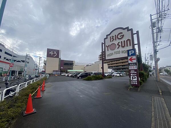 ビッグヨーサン 座間ひばりが丘店