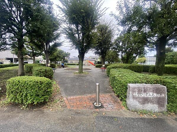 ひばりが丘第三公園